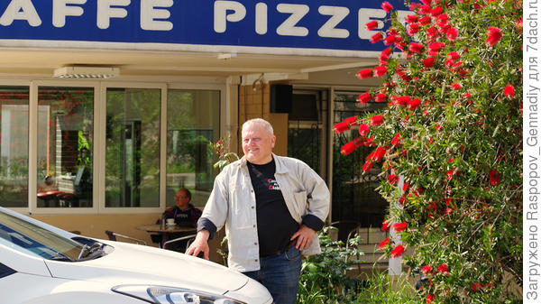 Недавно приехал из Черногории, пока еще не отошел от впечатлений, все  в цветах, шикарные гигантские каллистемоны на каждом углу. Скоро напишу серию статей о растениях Черногории. А пока 40 индюшат подрастают, просят еду и тепло, забот много, май кончается, ждем тепла. Я вроде его из Черногории привез.