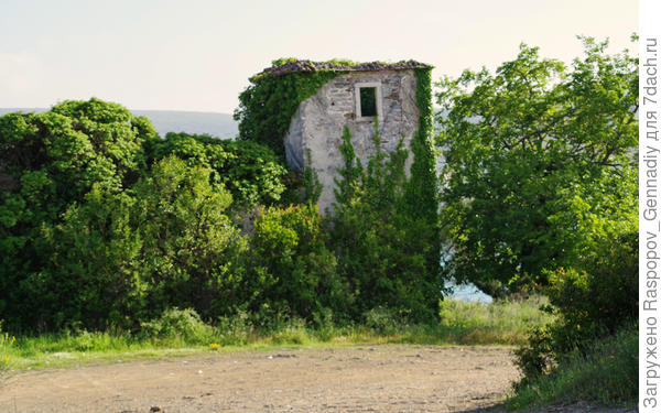 Средневековье заросло лианами