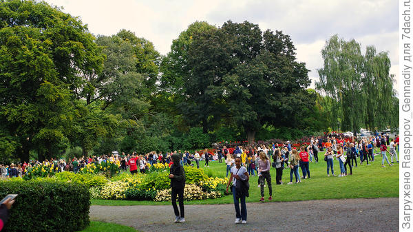 Стокгольм 1 сентября, Школьники празднуют не в школах, а на лужайке в парках