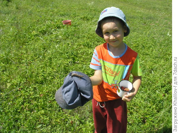 Знакомство с природой