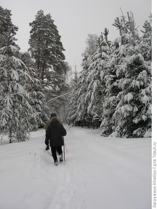 Мы, пенсионеры на прогулке.