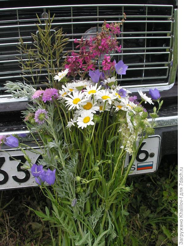 Поздравляю!