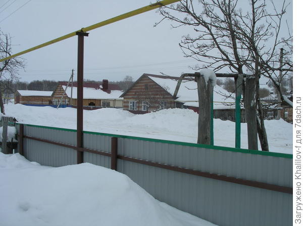 Зима в Зеленой роще