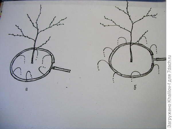 (Схема-рисунок) Поливаем внутрь круга, потом поворачиваем  и полуваем наружу круга
