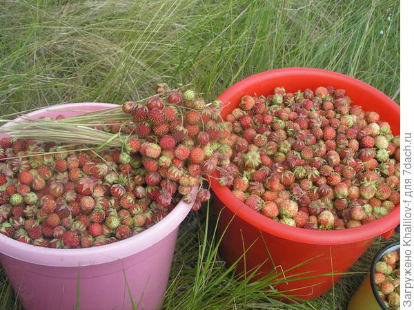 Но, вот, все таки собрали.