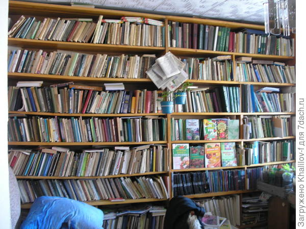 Моя библиотека