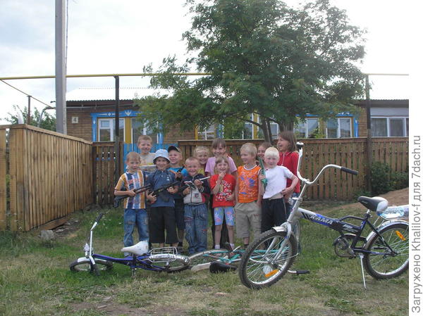 Вот компания около нашей калитки