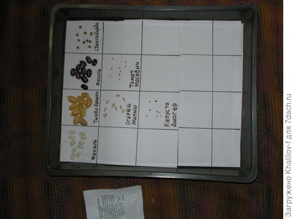 Определение всхожести семян.