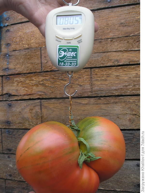 Розовый мед. Вес плохо видно 805 грамм