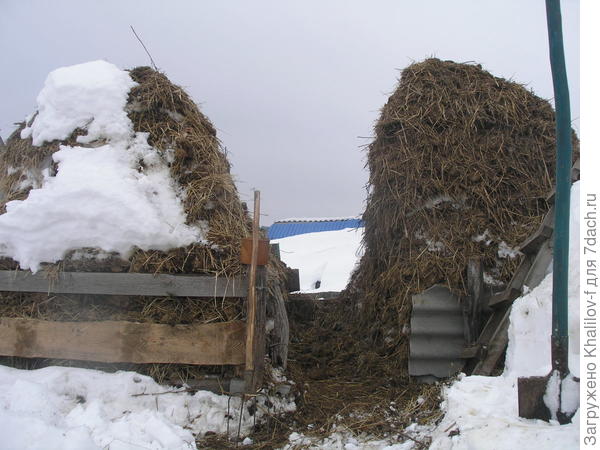 Удобрения в саду