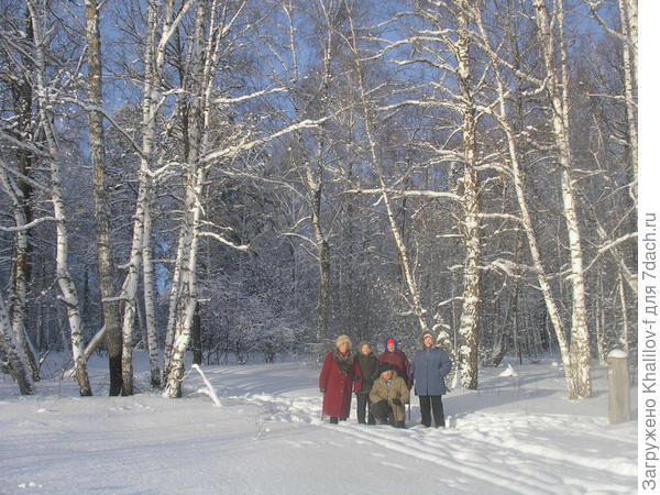 пенсионеры на прогулке в зимнем лесу
