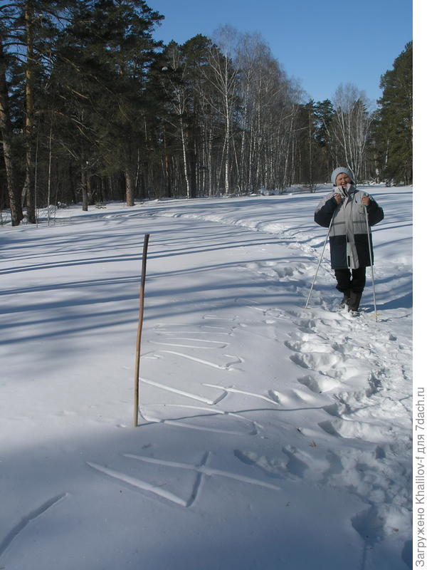 прогулка по зимнему лесу. вот такая палка.