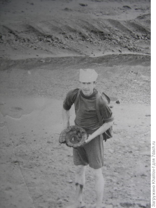 Я в фосфоритном карьере Воскресенского химкомбината. Нашёл огромную окаменелую Улитку.