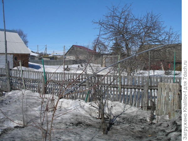 В саду за забором еще земля покажется не скоро.