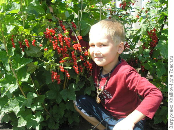 Внук и Джон