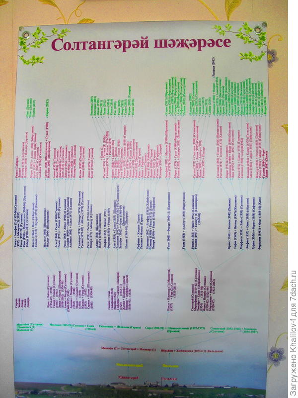 Второе генеалогическое древо