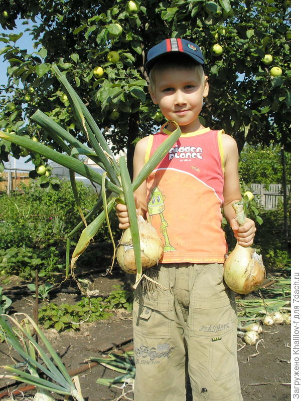 Внук Артём любит его убирать