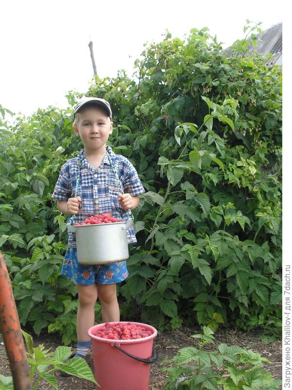 Малина Новость Кузьмина