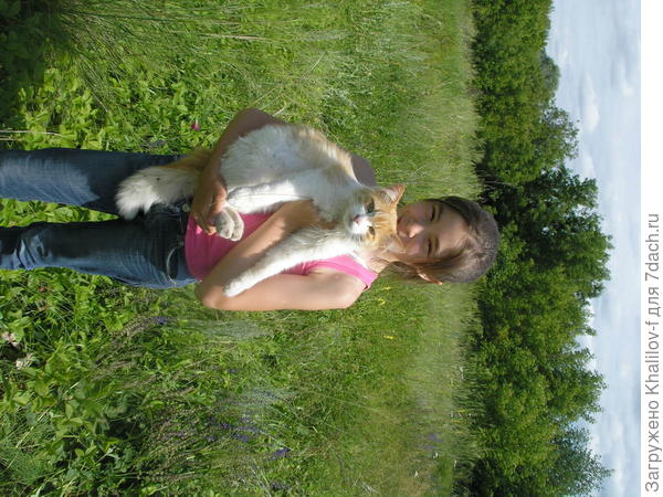 Пушок устроился в тени под кустом и уснул. Когда собрались домой внучка Наиля  еле нашла.