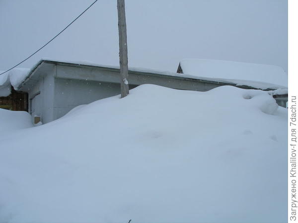 Снег по крышу гаража, а в 1.5 м от гаража 4-5 кустов смородины не выпревают же...