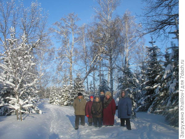 Пенсионеры на прогулке в зимнем лесу.