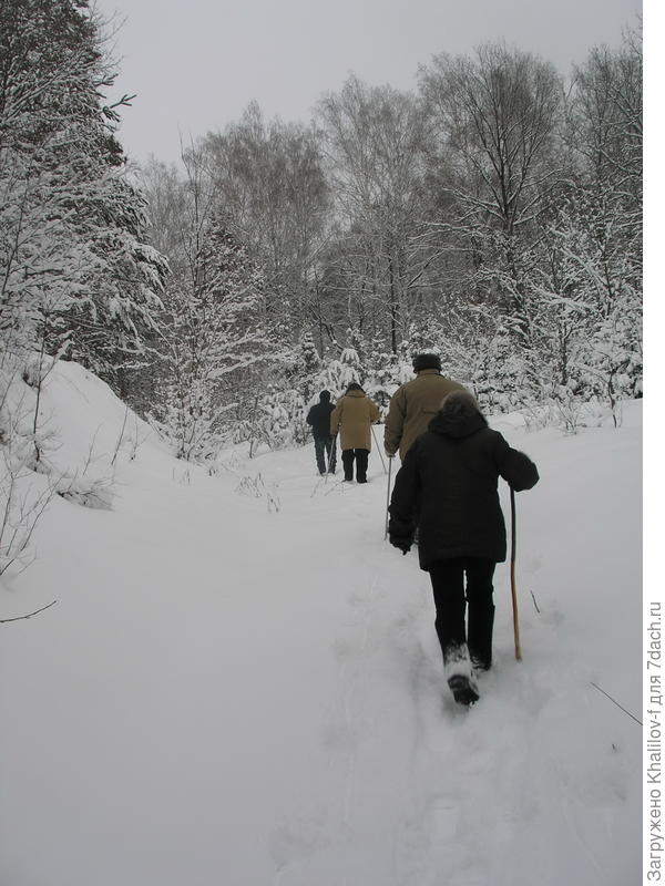 На прогулке.