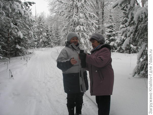 Пока они друг друга учат как фотографровать....