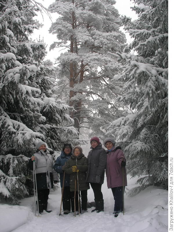 Наша группа. Вот какие сосны.