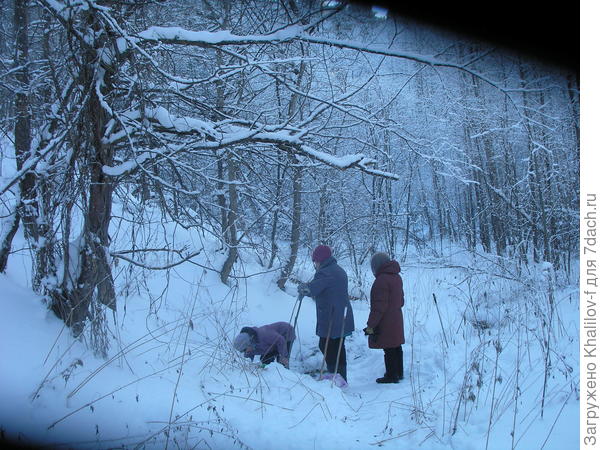 Около святого ключа