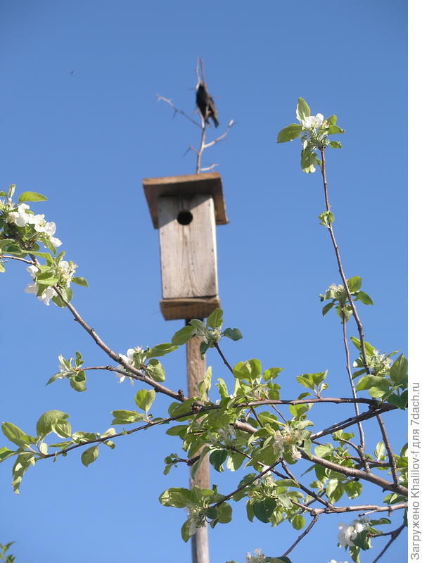 Хозяева прилетели.