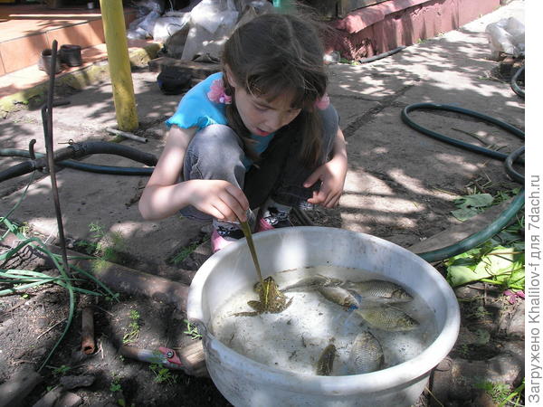 Видите как интересно, внучка Наиля даже рот раскрыла.