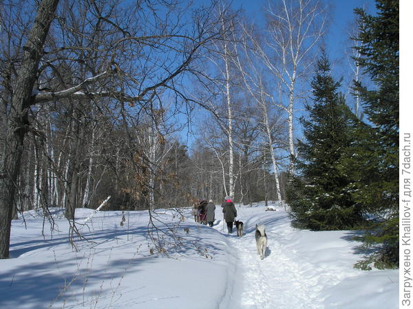 Вот так я отстаю от поисковиков и фотографирую их.