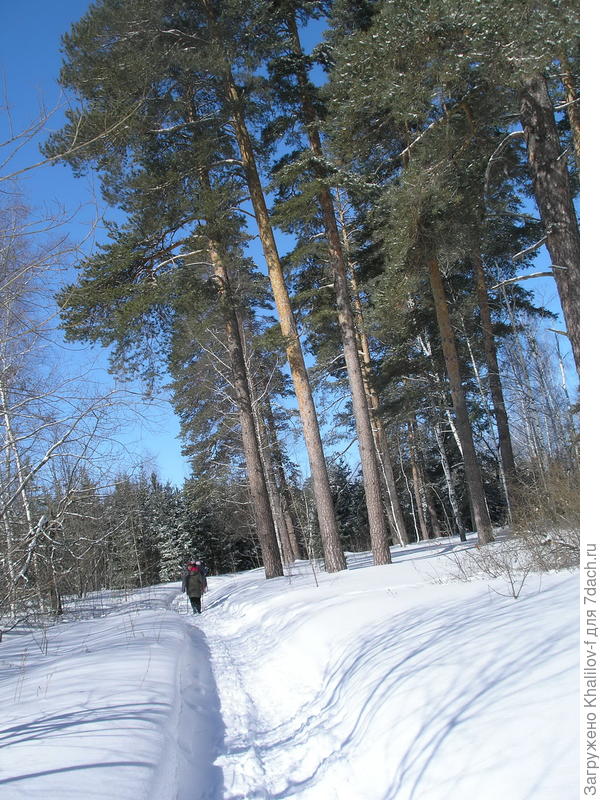 Вот сегодняшний (31 марта. 2018 г.) снимок