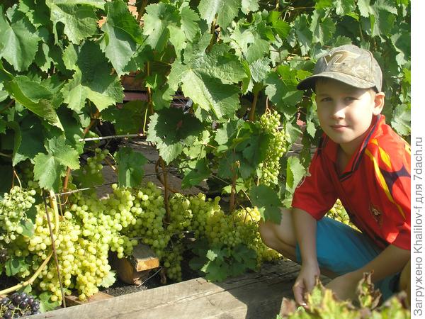 Алешенькин