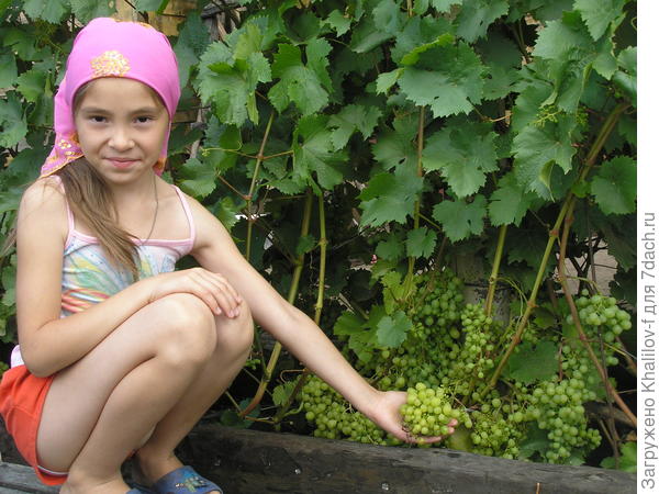 Алешенькин