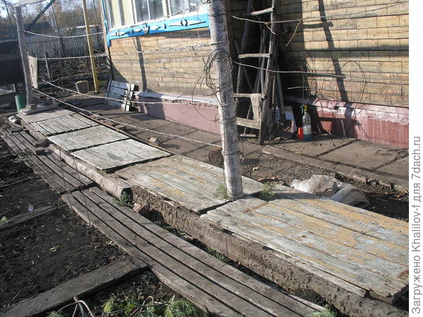 Виноград укрыт