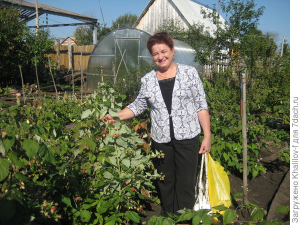 Геракл. малинник.