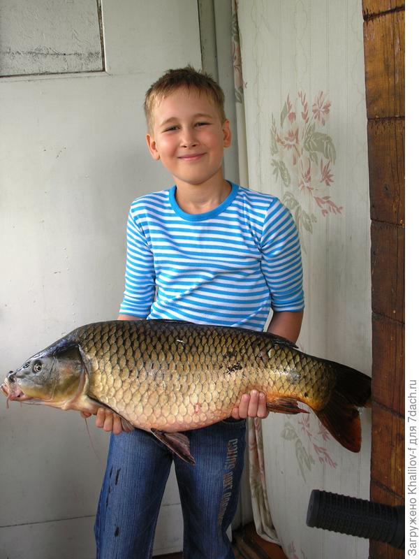 ....вот такой, как в руках внука Артема.