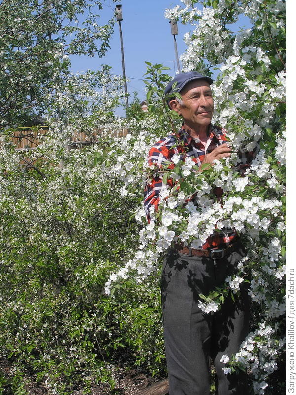 А сад это другая стихия!