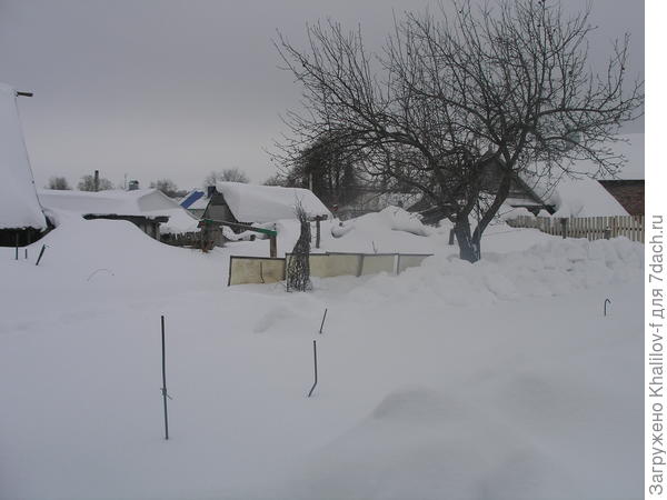 Это слева соседский сарай по крышу в снегу, а в середине и справа две бани, двух соседей. Везде снега по крышу.