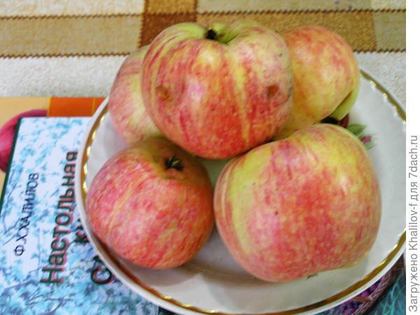 Яблоки Конфетной.