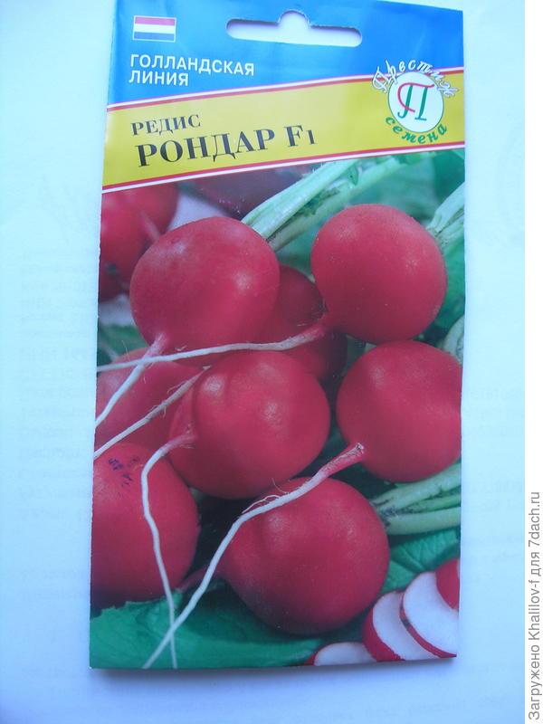 Редис Рондар.