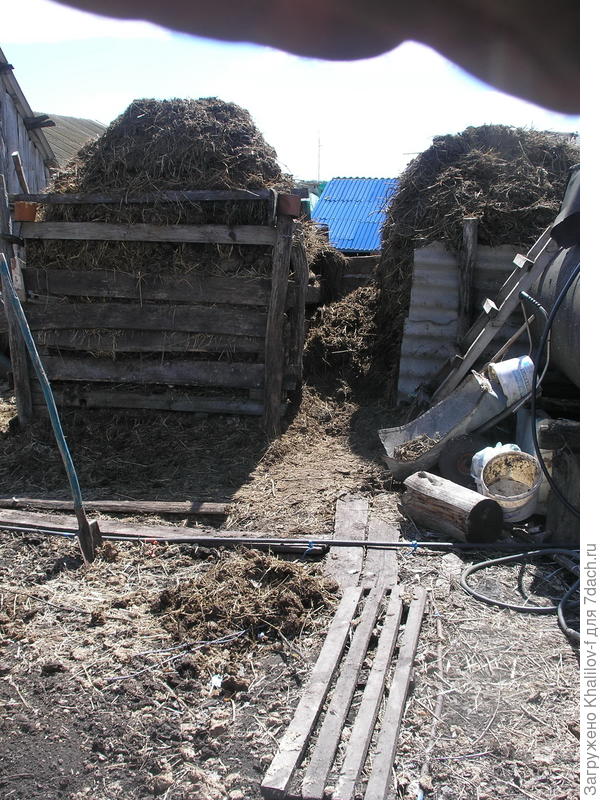 Навозные кучи