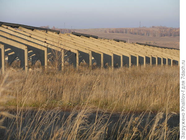 Скелет одного животноводческого помещеия