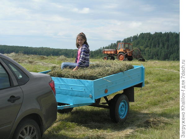 Моя помощница.