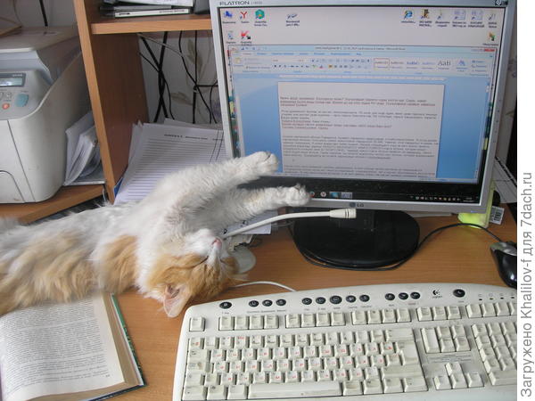 Дед работает, а я помогаю