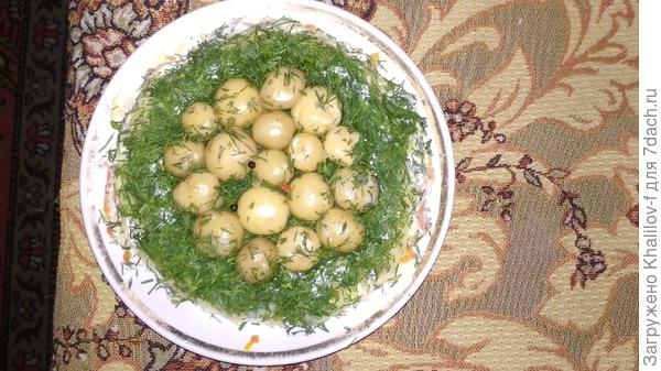 Грибная полянка