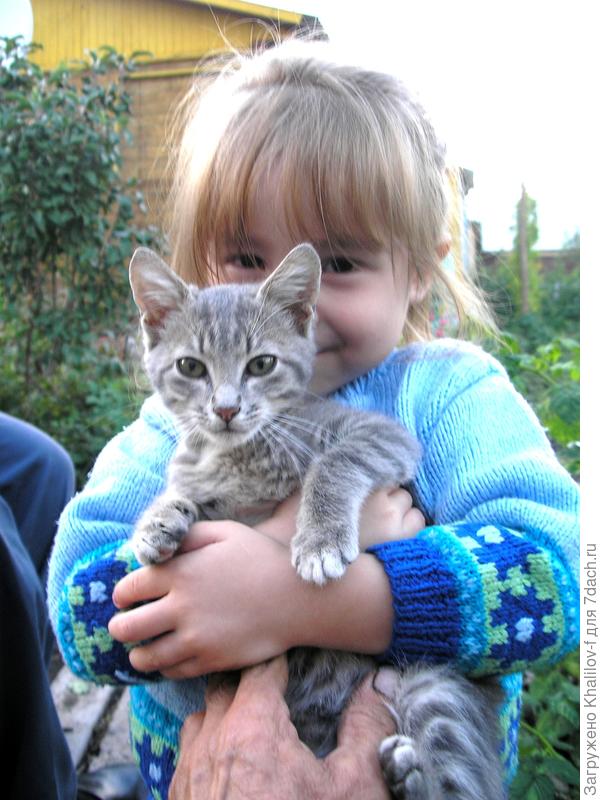 Внучка Наиля и Тигрюша. Как они любят друг друга!Рыбки......