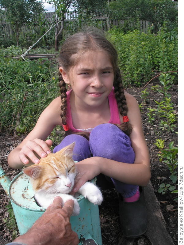 Пушок и Наиля.