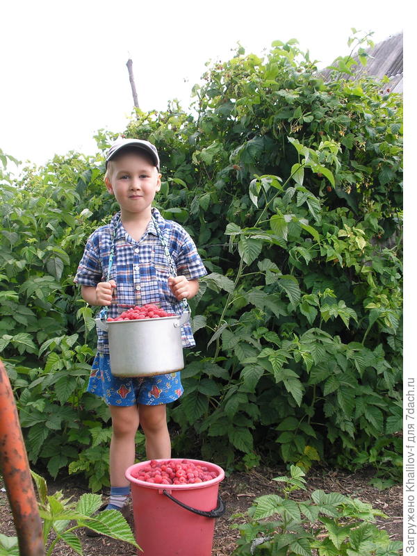 Малина Новость КУзьмина